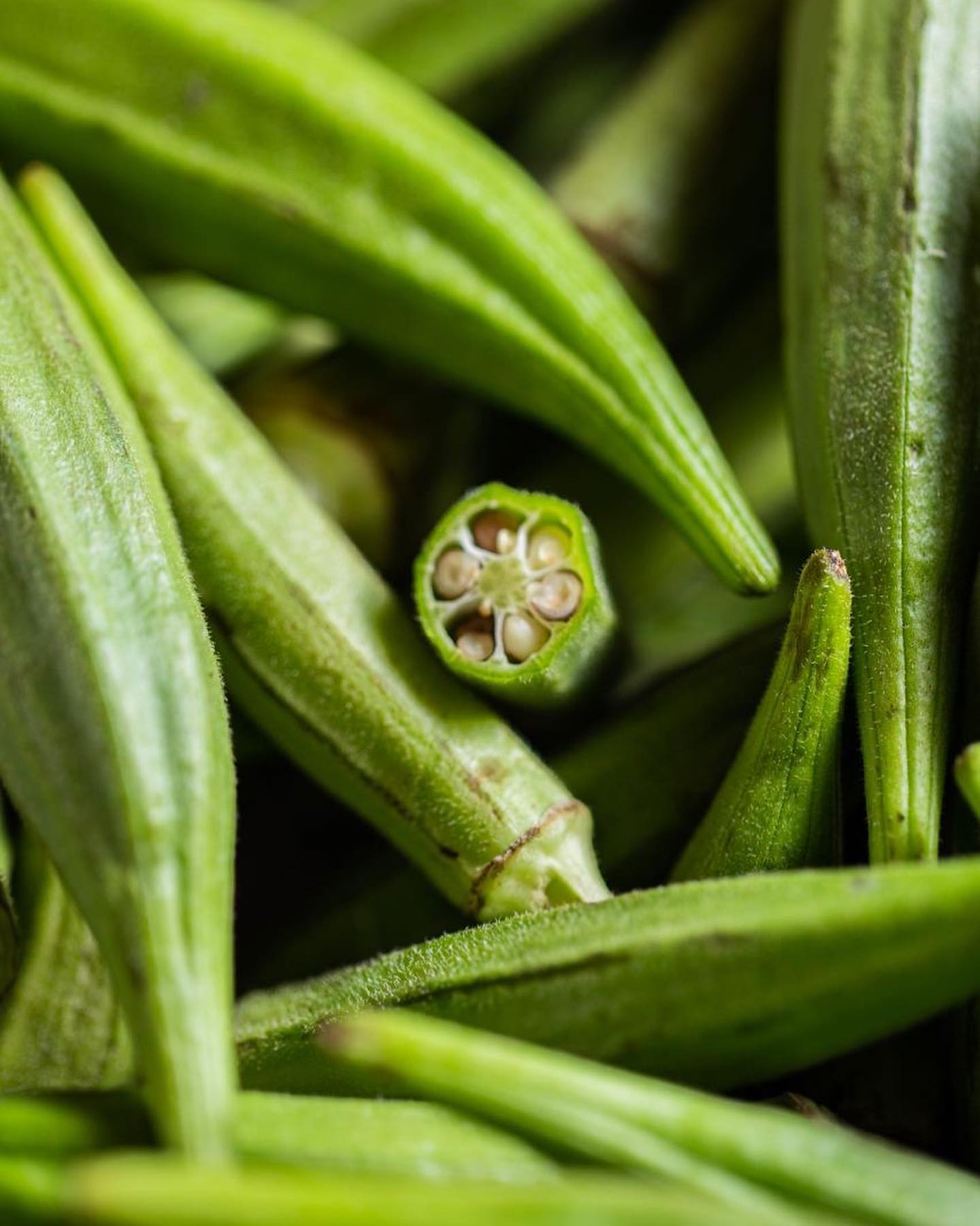 Okra